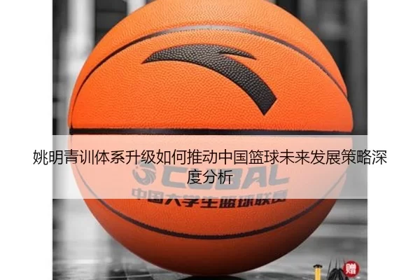 姚明青训体系升级如何推动中国篮球未来发展策略深度分析